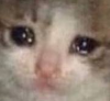 :sadkitty: