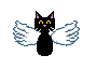 Cat angel